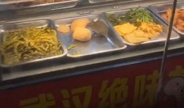 网友爆料鸭脖视频大全集,鸭脖视频大全集，揭秘美食背后的故事